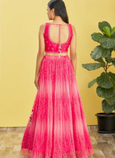 Embroidered Organza Lehenga in Pink